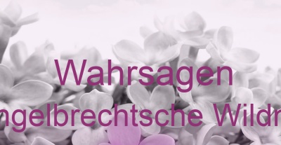 Wahrsagen Engelbrechtsche Wildnis | Top-Experten für Kartenlegen, Wahrsagen, Hellsehen, Zukunftsdeutung.